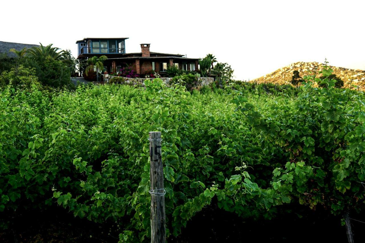 فيلا Sansoniفي Rancho Cien Piedras المظهر الخارجي الصورة